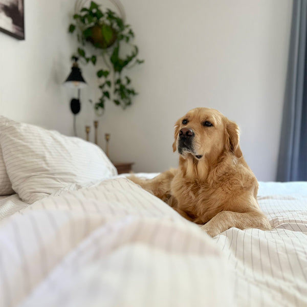 Prendiamo sul serio una buona notte di sonno.